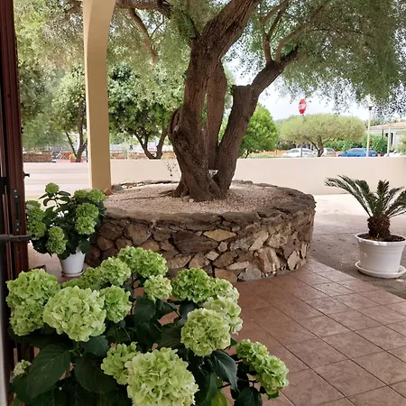 Affittacamere Mivida Le Stanze Di Ada San Teodoro (Sardinia)